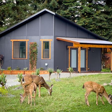 New, Modern, Country-Feel, Close To Арката Екстер'єр фото